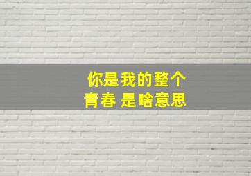 你是我的整个青春 是啥意思